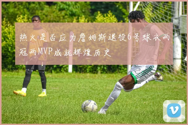 热火是否应为詹姆斯退役6号球衣两冠两MVP成就辉煌历史